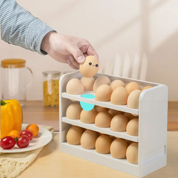 Egg Organizer For Refrigerator (30 Grids)